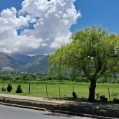 Tafí del Valle: un refugio de paz y belleza en el Norte Argentino - TafidelValle.com