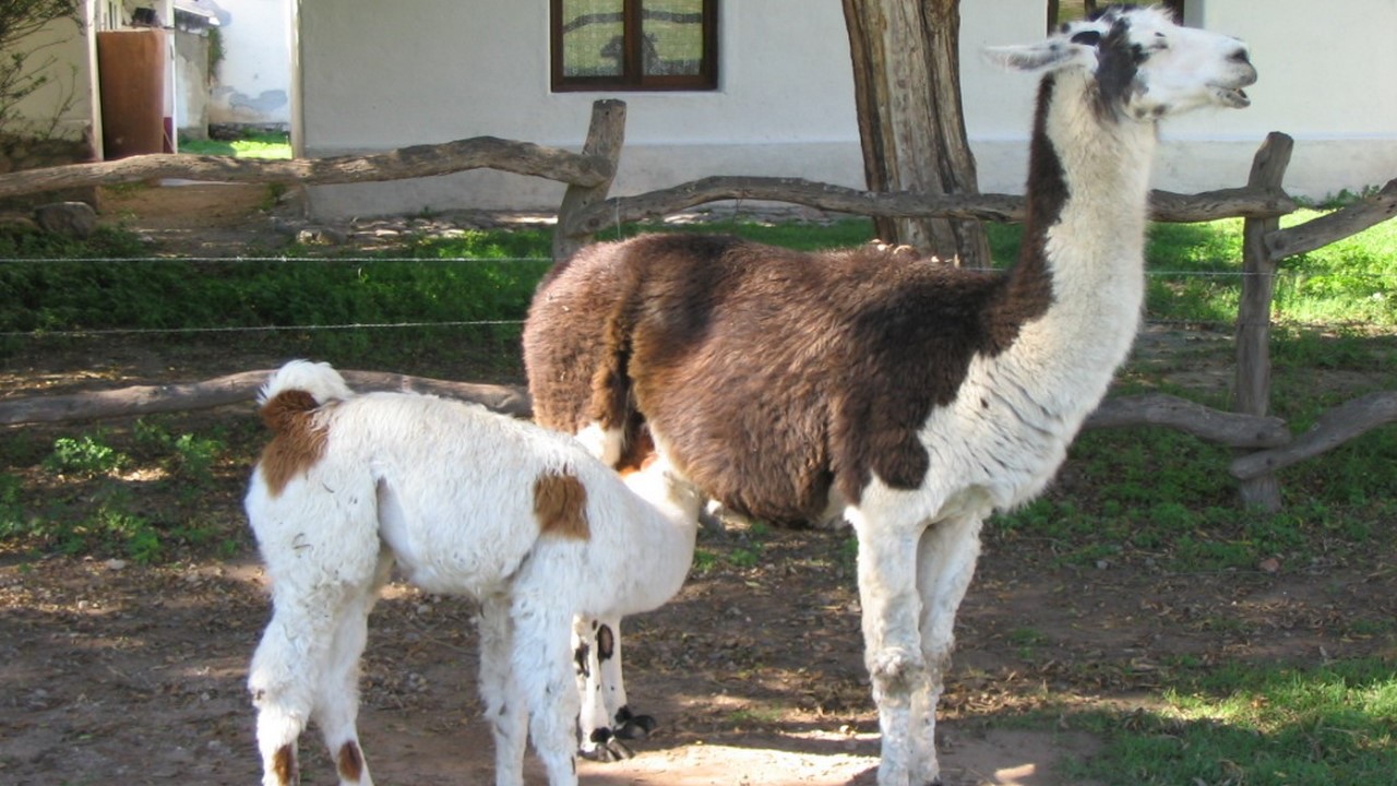 Tafí del Valle, Tucumán, Agentina