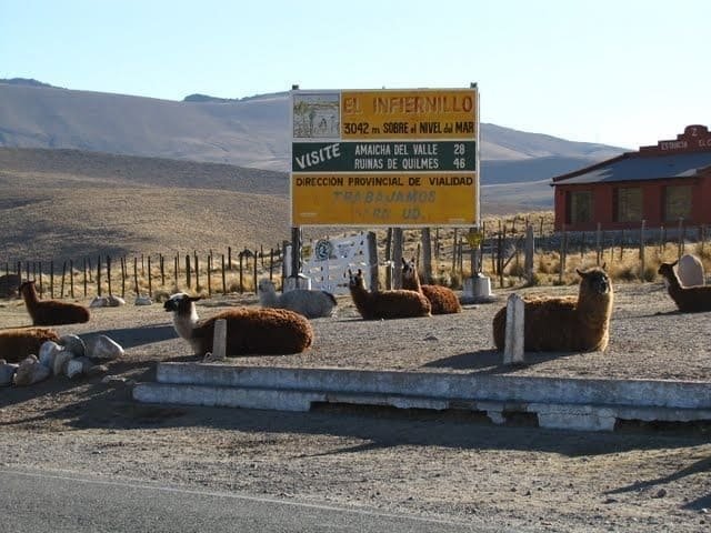 El cartel de El Infiernillo, a 3042 m sobre el nivel del mar, con llamas echadas alrededor
